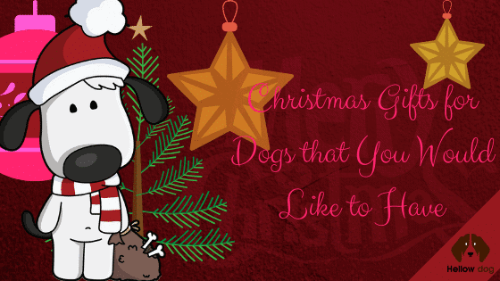 Christmas Gifts for Dogs that You Would Like to Have