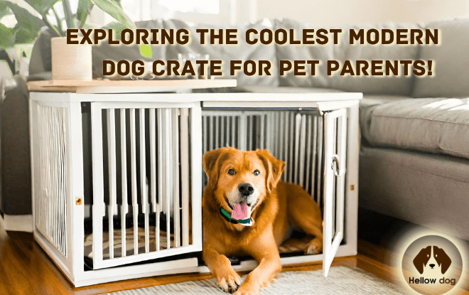 A sleek and stylish modern dog crate with a comfortable bed, perfect for pampered pets.