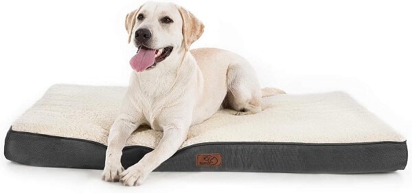 A dog bed with a removable and washable cover