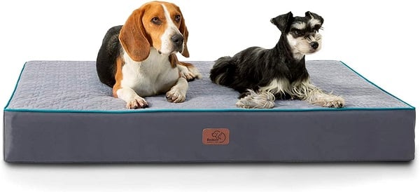 Upgrade Your Pet's Sleep Experience with Best Rated Dog Beds