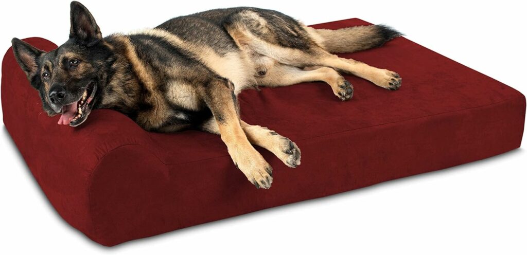An orthopedic dog bed with a plush pillow top
