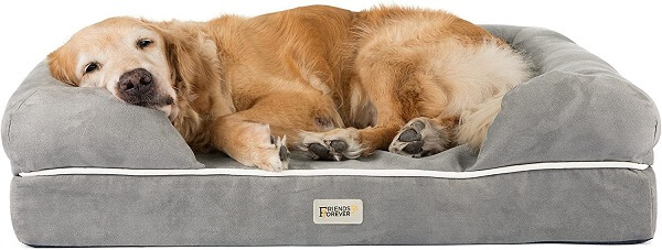 A sofa-style orthopedic dog bed from Friends Forever