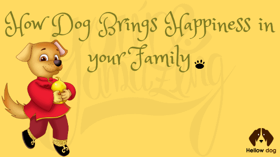 How Dog Brings Happiness in Your Family