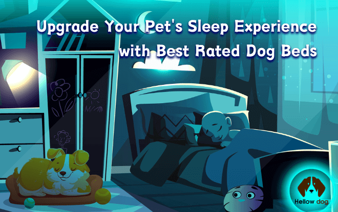 Best Rated Dog Beds: Elevate Your Pet's Comfort and Rest.
