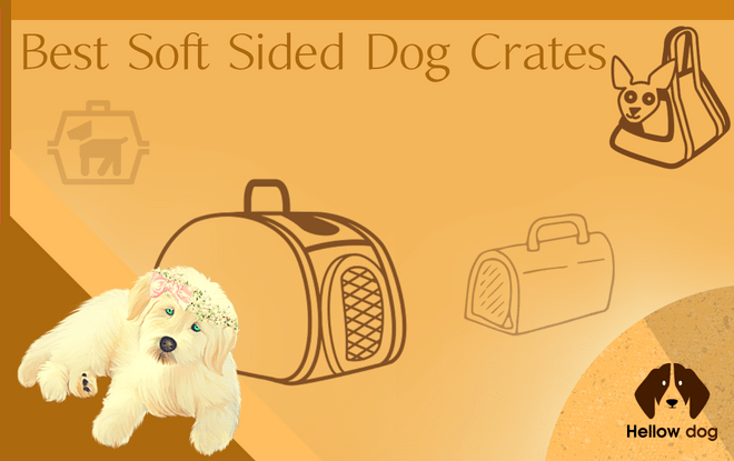 Best Soft Sided Dog Crates
