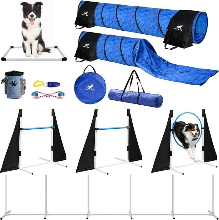 A comprehensive set of agility equipment for dogs, perfect for creating an engaging and challenging course.