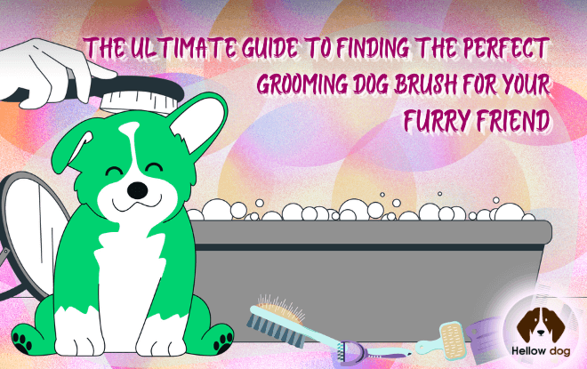 Grooming Dog Brush Guide: Choose the Best for Your Furry Friend