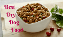 Best Dry Dog Food Reviews