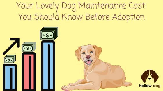 How Much You Will Incur For the Proper Care of Your Dog