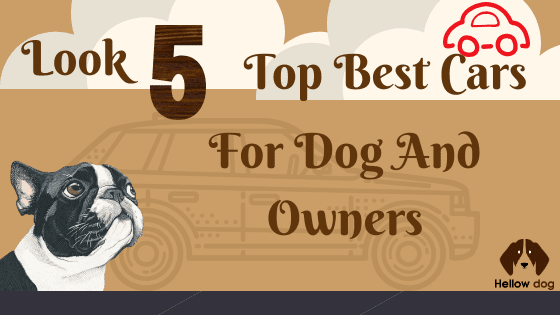 Look 5 Top Best Cars for Dog and Dog Owners