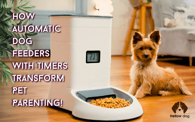An automatic dog feeder with timer, ensuring optimal pet nutrition and routine feeding, enhancing the well-being of your furry friend.