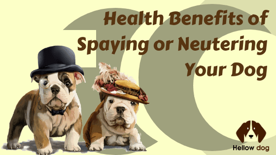 Health Benefits of Spaying or Neutering Your Dog
