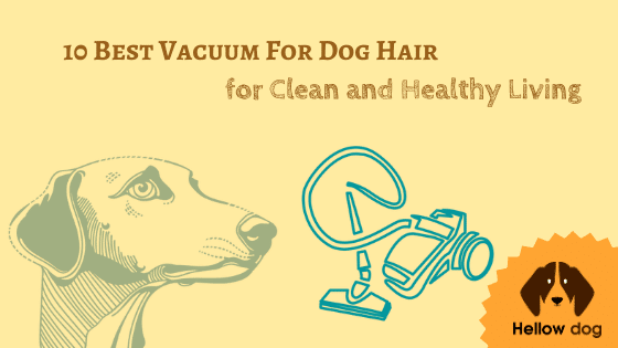 10 Best Vacuum For Dog Hair for Clean and Healthy Living