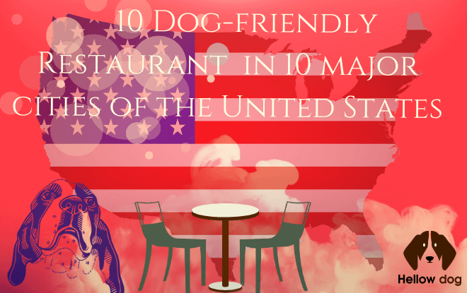 Dog-Friendly Restaurants