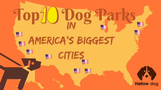 Top 10 Dog Parks in America’s Biggest Cities