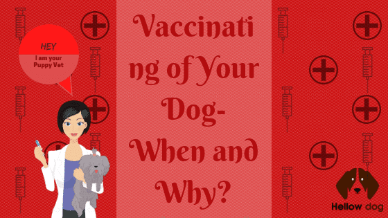 Vaccinating of Your Dog