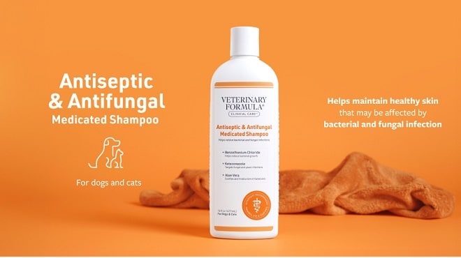 Transform Your Dog's Life with the Best Medicated Dog Shampoo for Skin Allergies