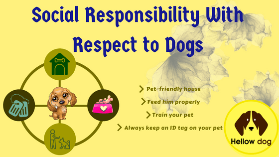 Social Responsibility to Dogs