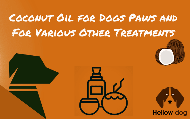 benefits of coconut oil dog's paws