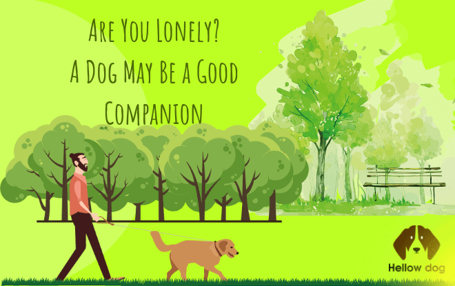 Are You Lonely A Dog May Be a Good Companion