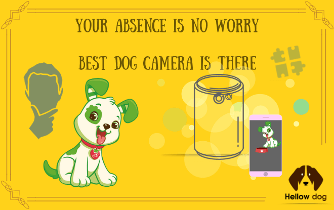 Best Dog Camera