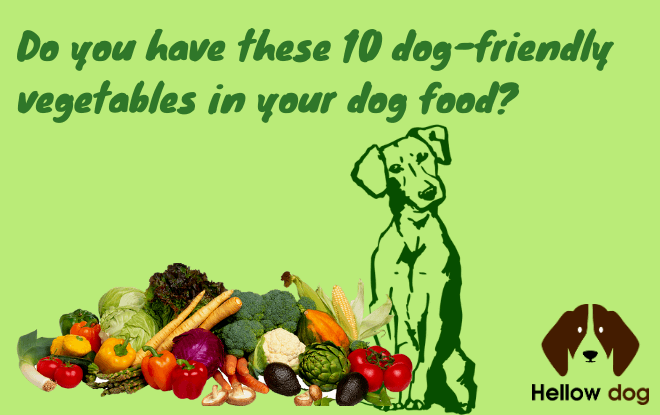 Do You Have these 10 Dog-Friendly Vegetables in Your Dog Food