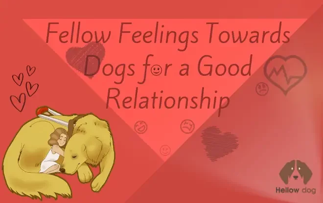 Fellow Feelings Towards Dogs for a Good Relationship