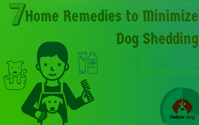 Home Remedies to Minimize Dog Shedding