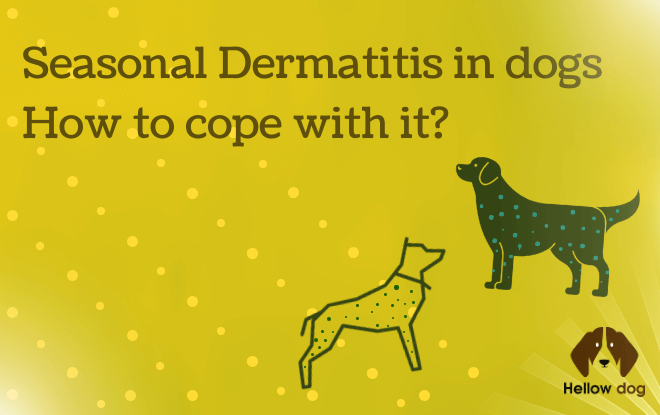 Seasonal Dermatitis in Dogs Hоw to Cope With Іt