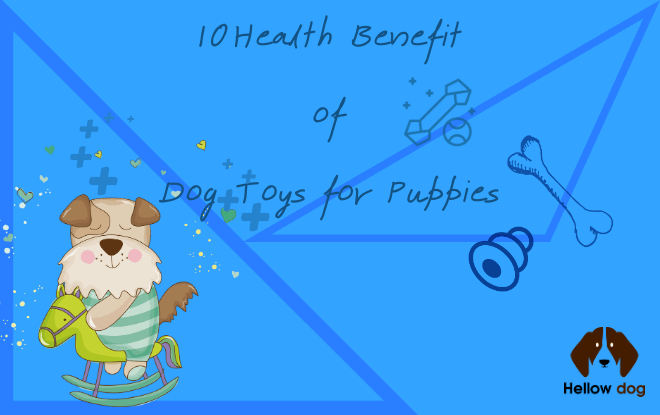 10 Health Benefits of Dog Toys for Puppies