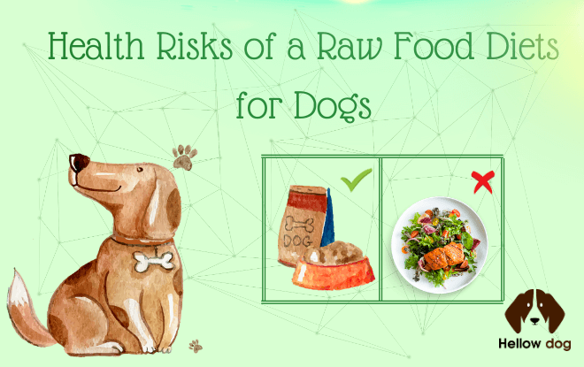 Health Risks of a Raw Food Diets for Dogs