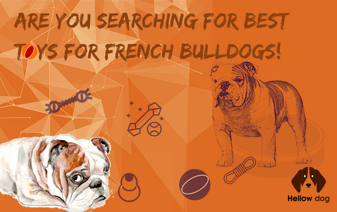 Best Toys for French Bulldogs