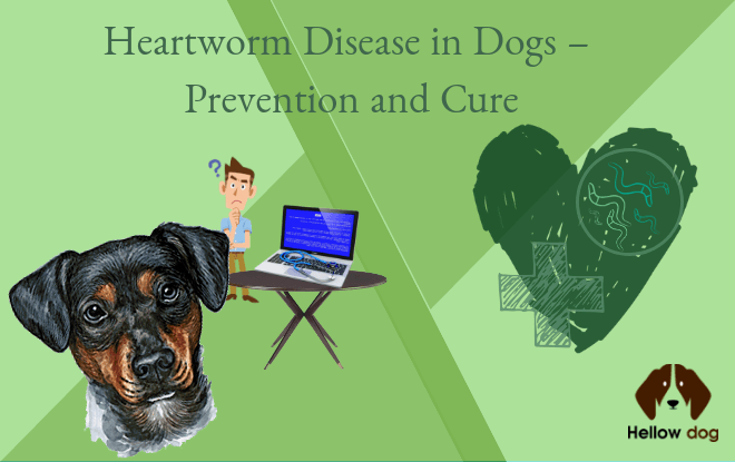 Heartworm Disease in Dogs ÔÇô Prevention and Cure