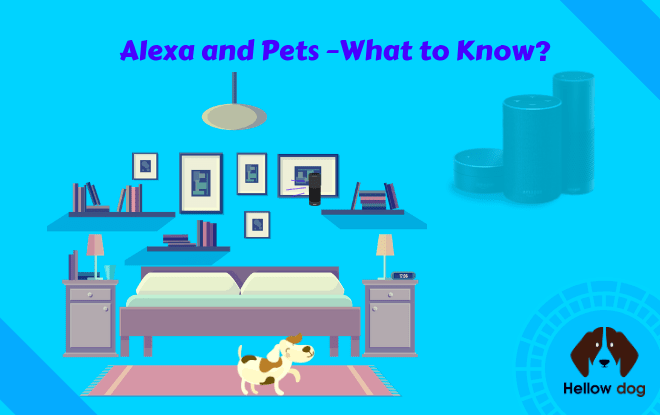 Alexa and Pets