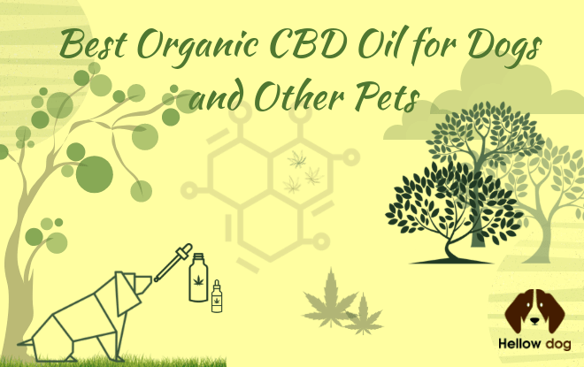 Organic CBD Oil for Dogs: Natural Wellness for Your Furry Friend.