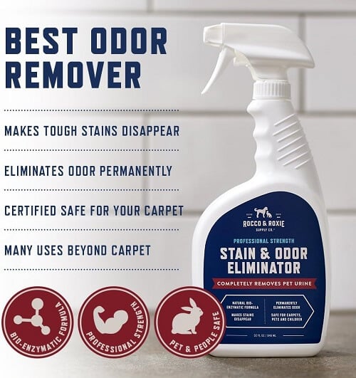 Bottle of Rocco & Roxie Supply Co. Stain & Odor Eliminator surrounded by happy pets and clean surfaces