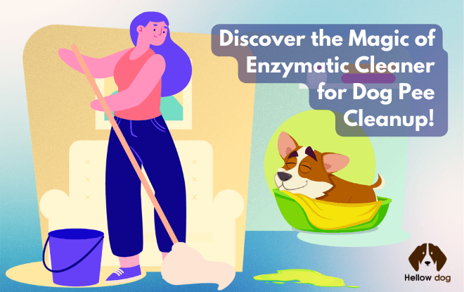 Enzymatic cleaner bottle with dog paw print, representing effective pet stain removal.