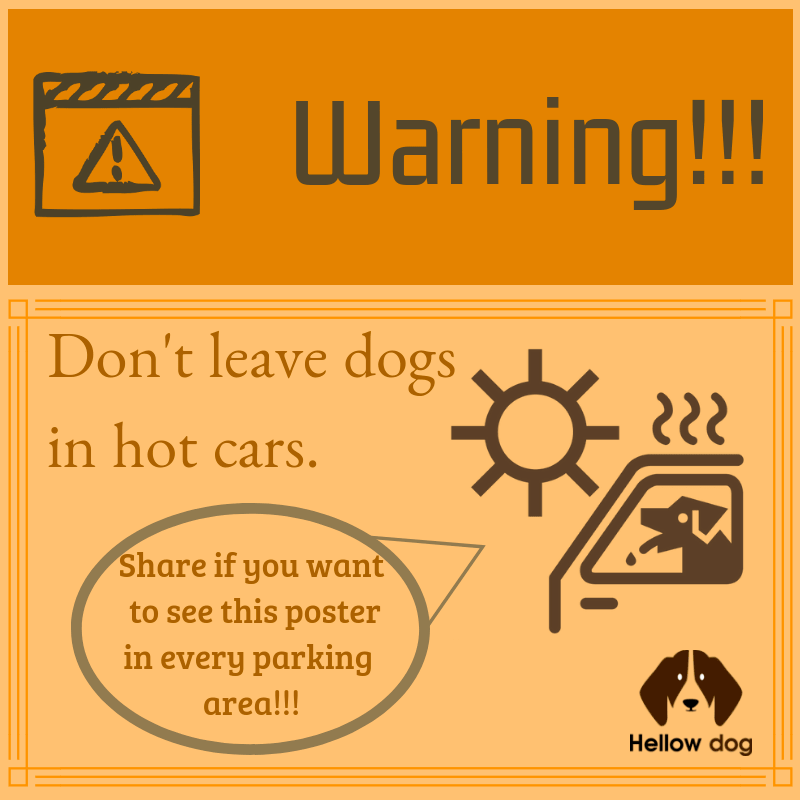 canine heat stroke