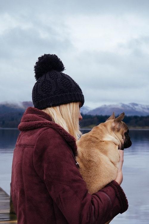 tips for traveling with pets