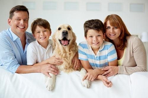 Dog Brings Happiness in Family