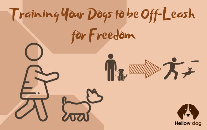 Training Your Dogs to be Off-Leash