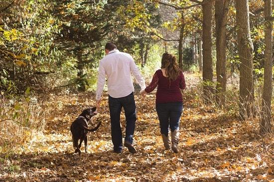 dog breeds that can walk off leash