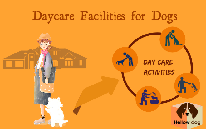 doggy daycare