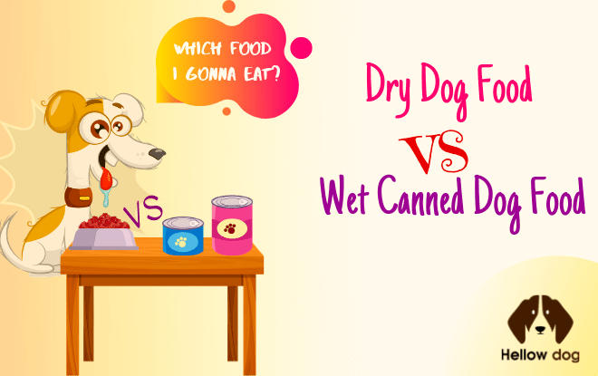 Dry Dog Food vs. Wet Canned Dog Food