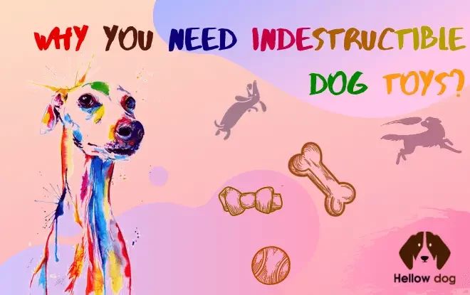 Why You Need Indestructible Dog Toys