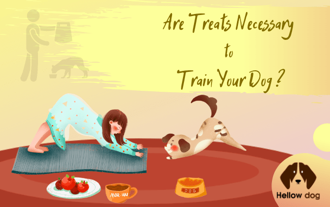 Are Treats Necessary to Train Your Dog?