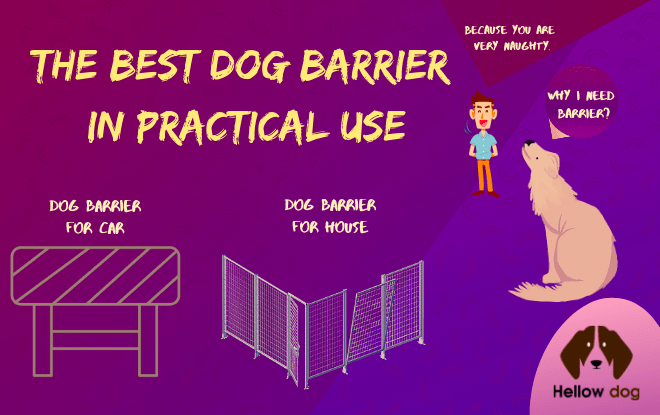 Best Dog Barrier