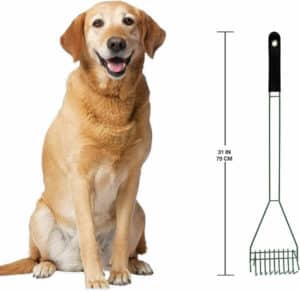 A set of lightweight Four Paws Wee-Wee Pooper Scoopers with outdoor rake, spade, and pan for dogs.