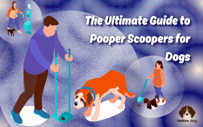 A metal pooper scooper for dogs being used to clean up dog waste in a park.