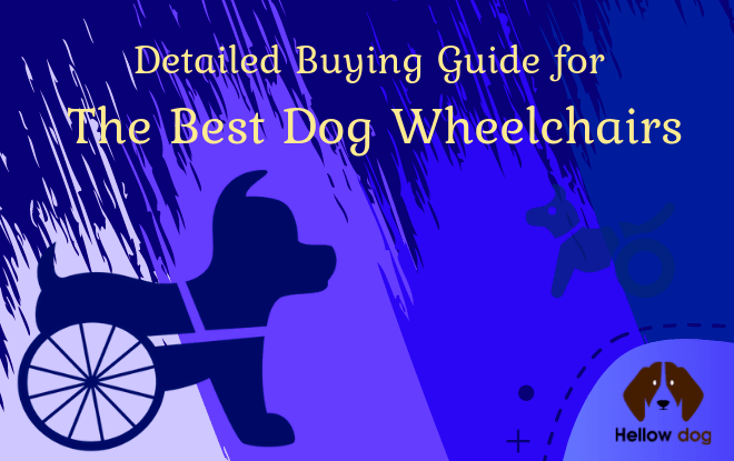 Best Dog Wheelchairs
